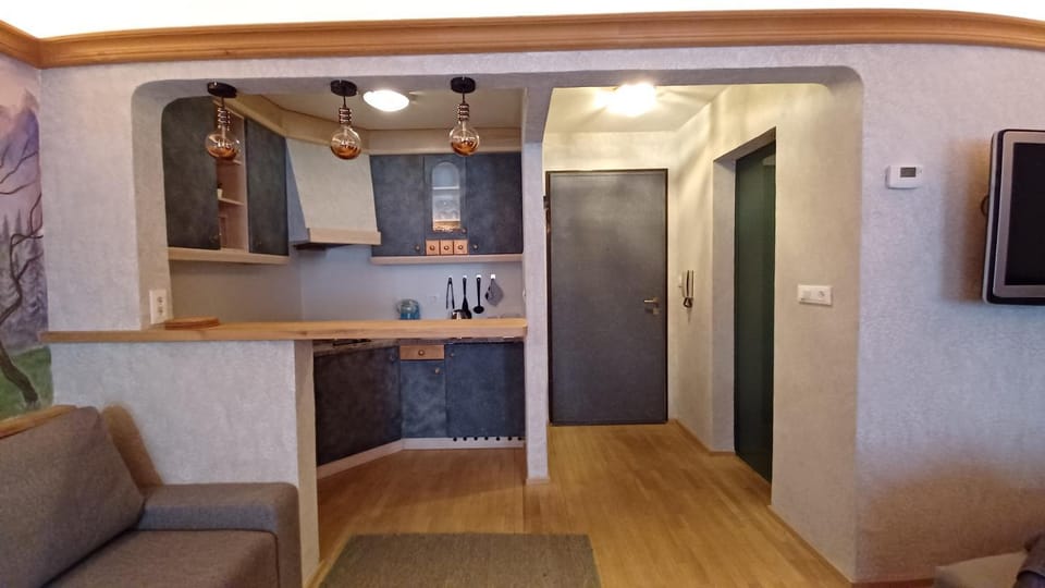 Kitchen or kitchenette