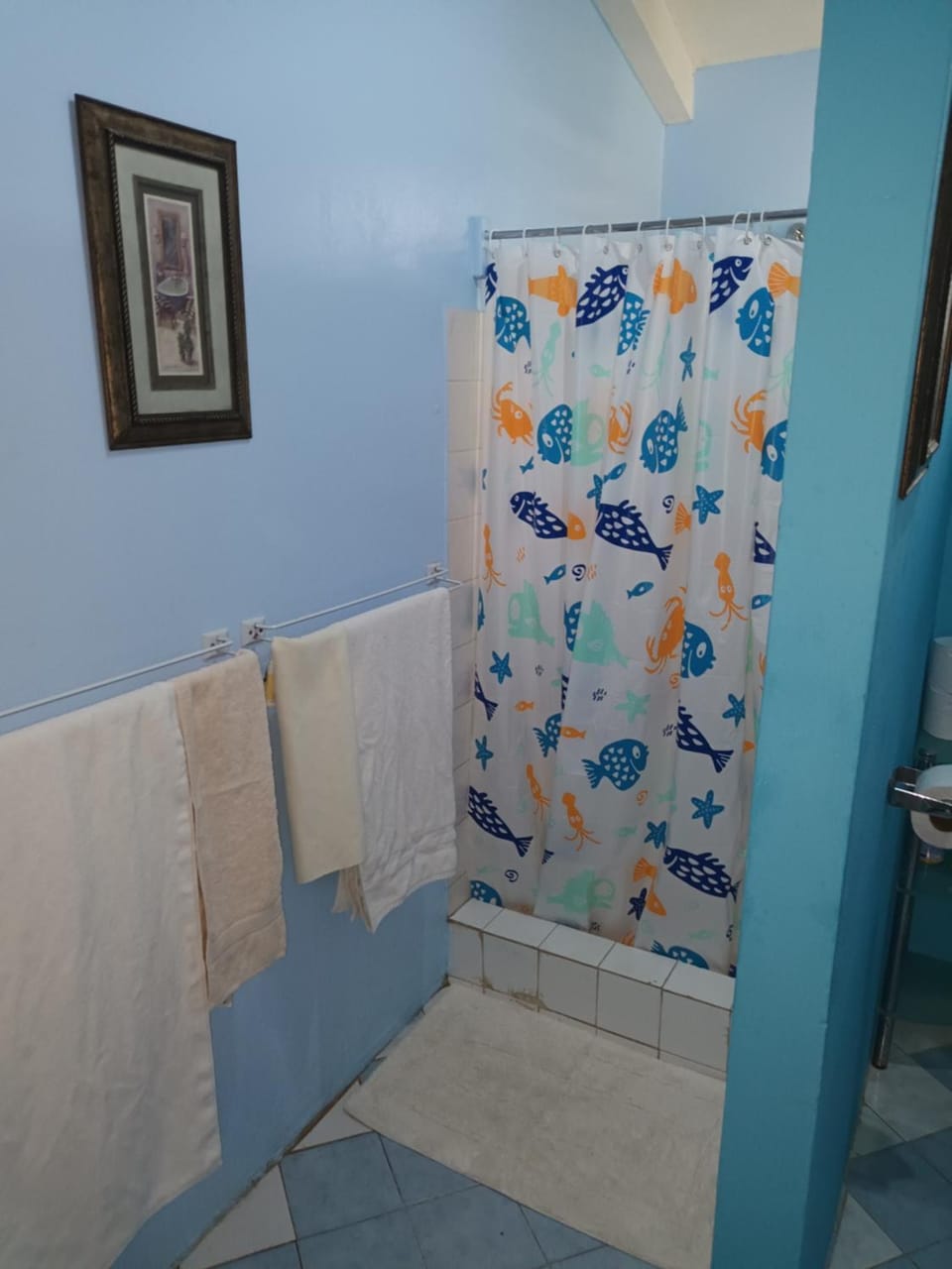 Shower, towels
