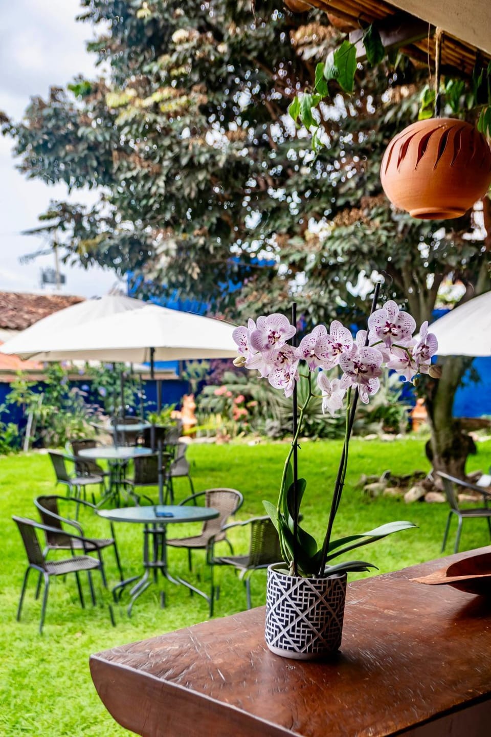Pancha Mama Hotel Boutique Hotel in Villa de Leyva