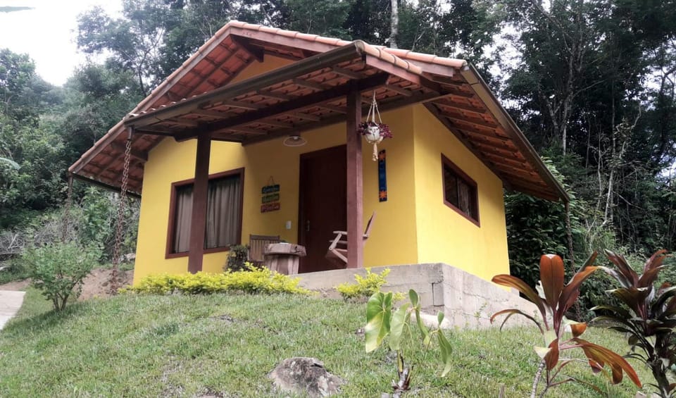 Day, Garden, Garden view