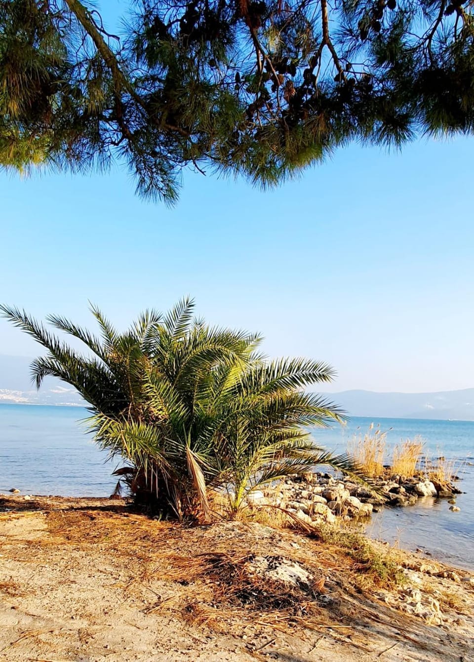 Natural landscape, Sea view