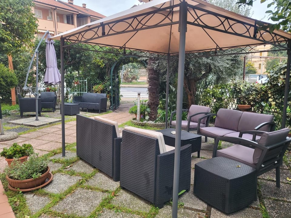 Spring, Garden, Garden view