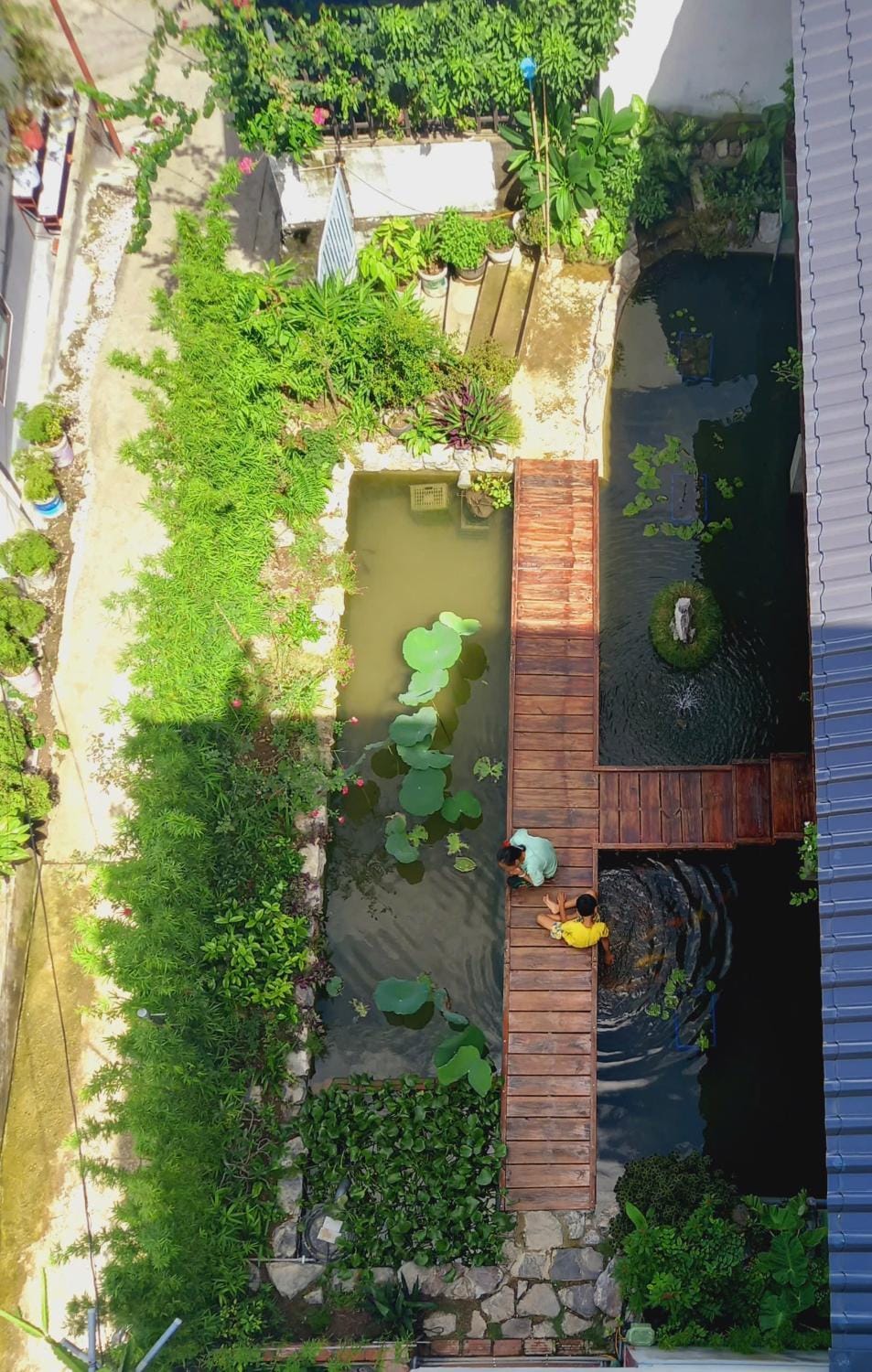 Garden