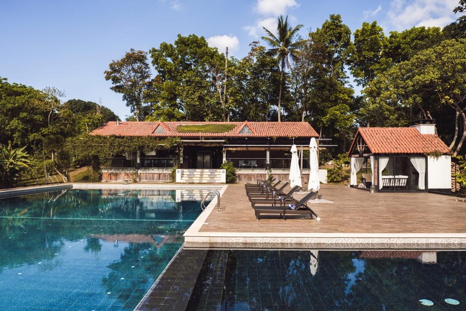 Swimming pool, sunbed, sunbed