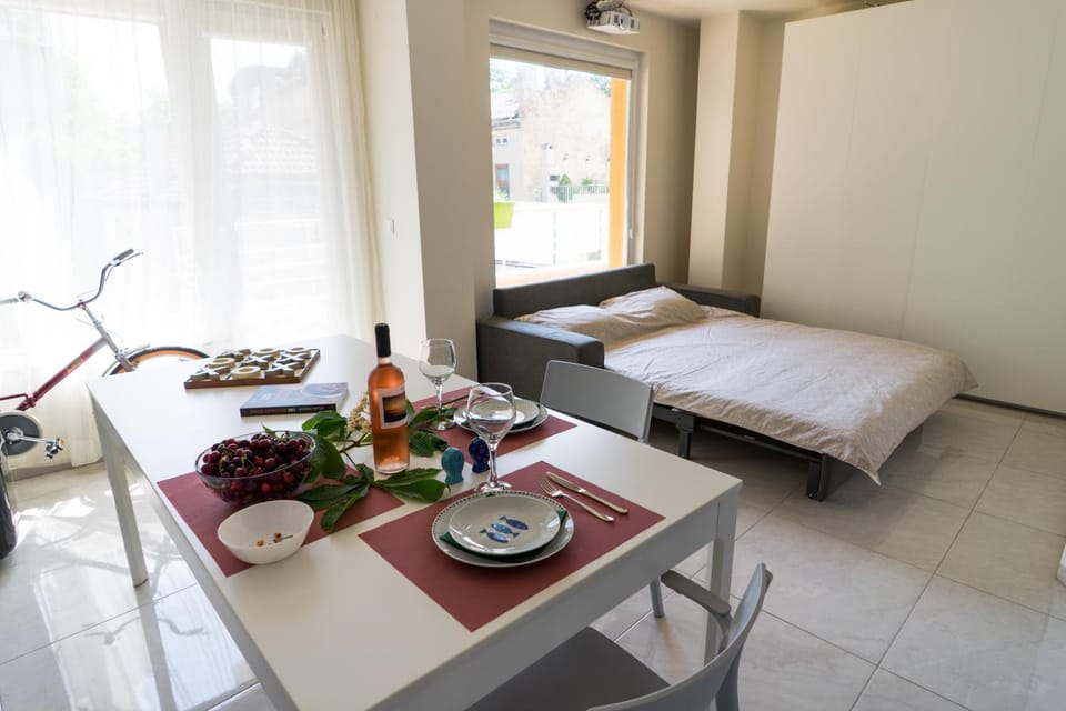 Sea grape wine flat in old center Apartment in Varna