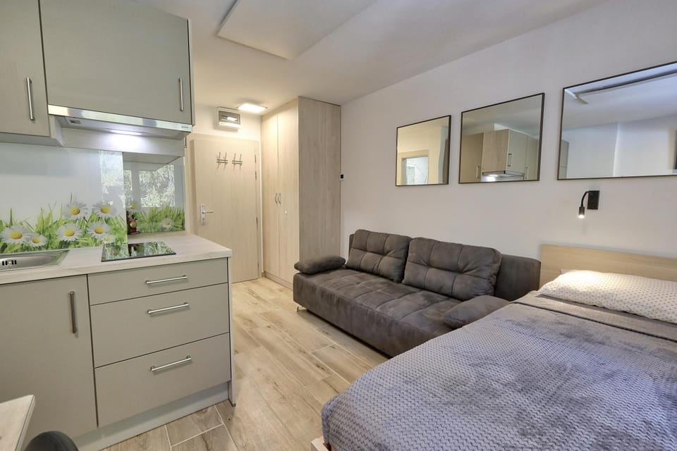 Bed, Kitchen or kitchenette, Seating area