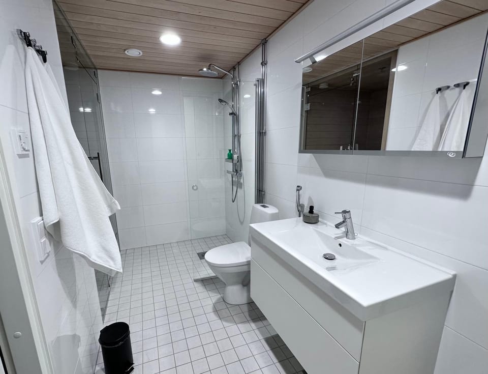 Shower, Toilet, Bathroom, bidet