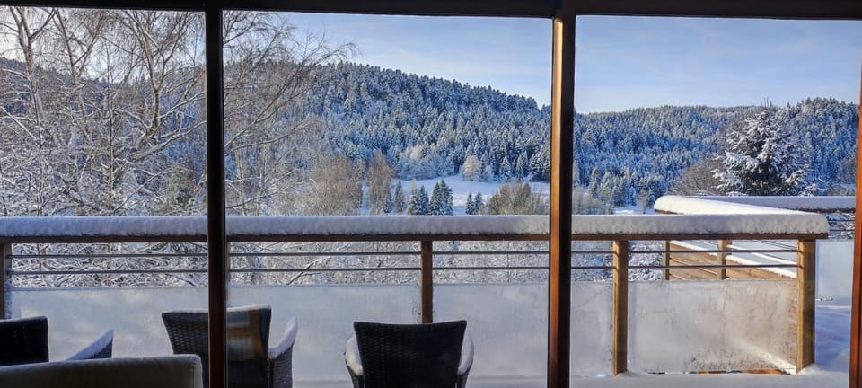 Le Cerf, chalet cocooning avec piscine et billard Chalet in Xonrupt-Longemer