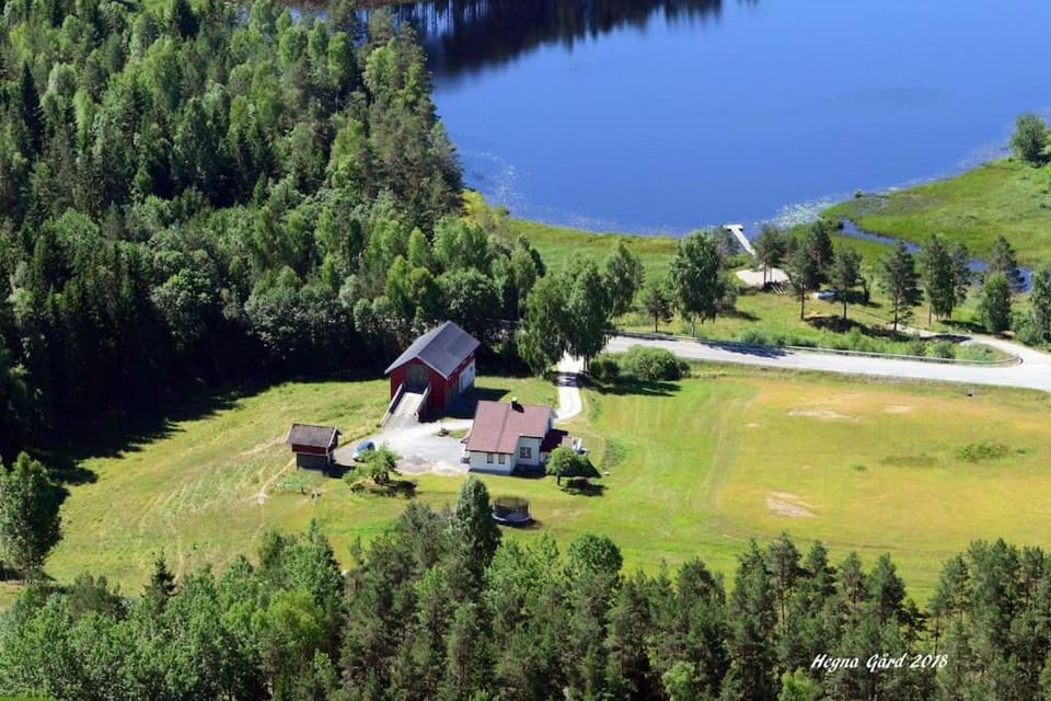 Bird's eye view, Summer
