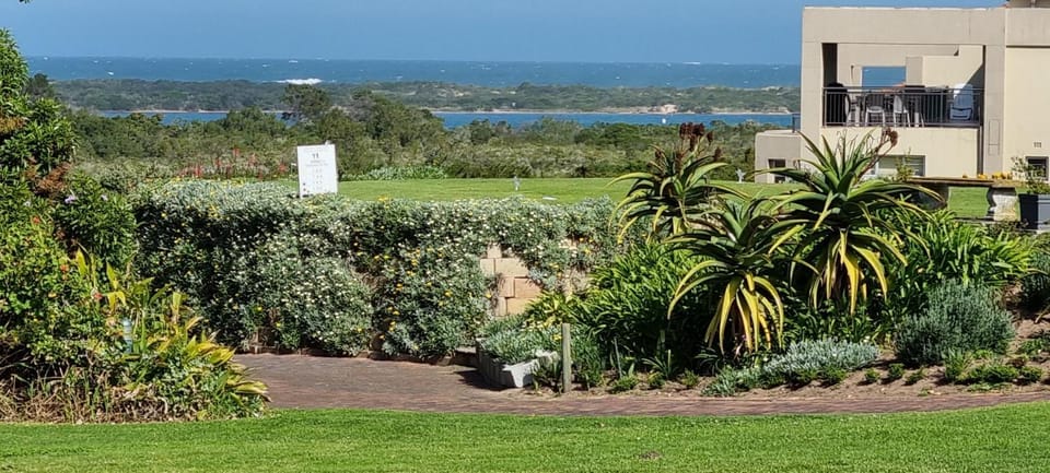 Lake view