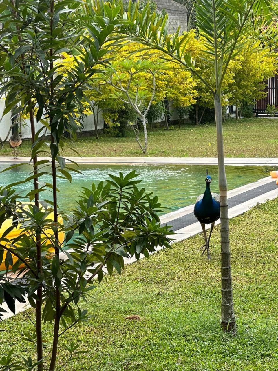 Property building, Garden, Garden view, Swimming pool, pet friendly