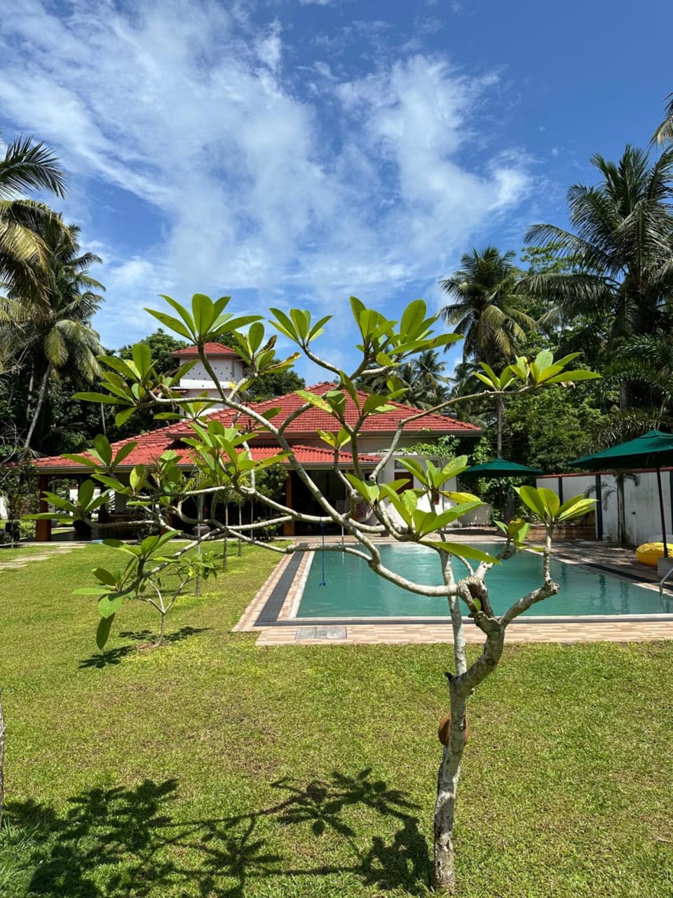 Property building, Garden, Swimming pool