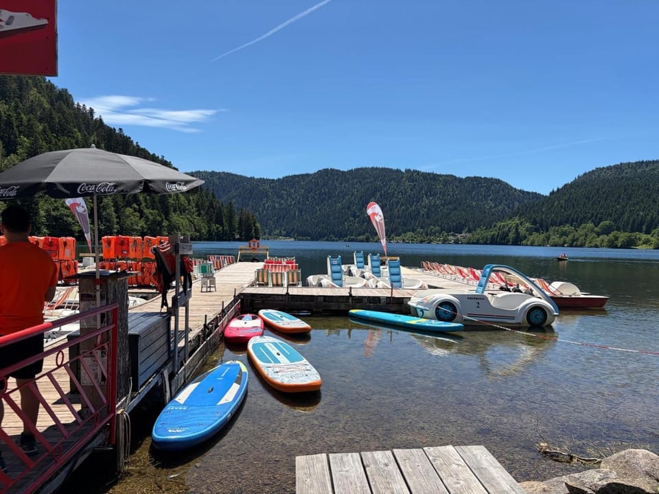 Les Griottes, véritable chalet de montagne, avec Jacuzzi et Sauna Chalet in Xonrupt-Longemer