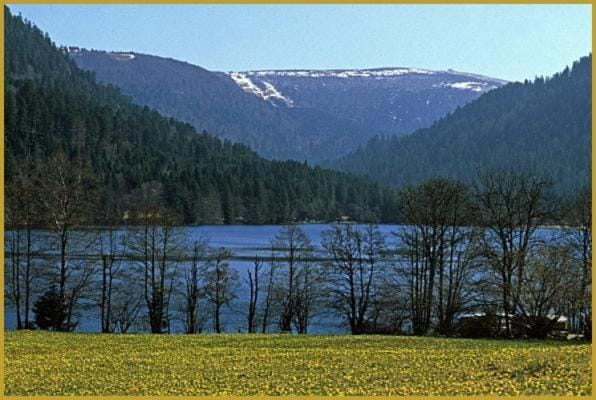 Les Griottes, véritable chalet de montagne, avec Jacuzzi et Sauna Chalet in Xonrupt-Longemer