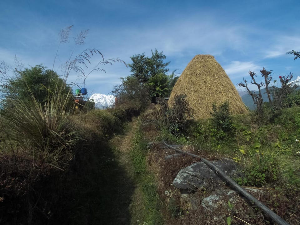 Nearby landmark, Day