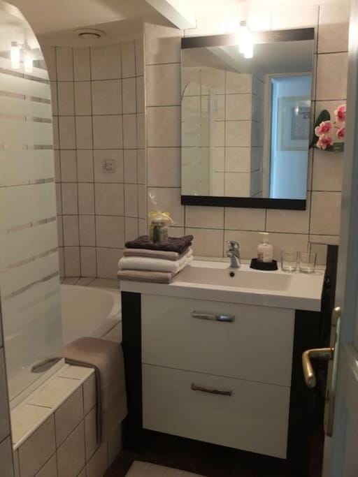 CHARMING FLAT IN HISTORICAL CENTRE Apartment in Dijon