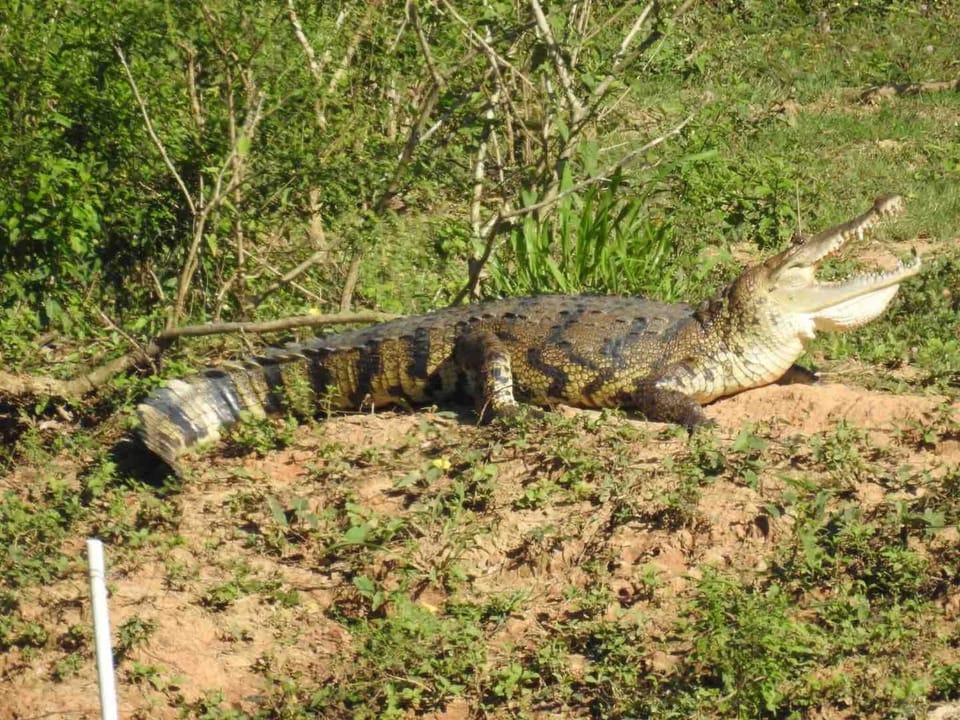 Natural landscape, Other