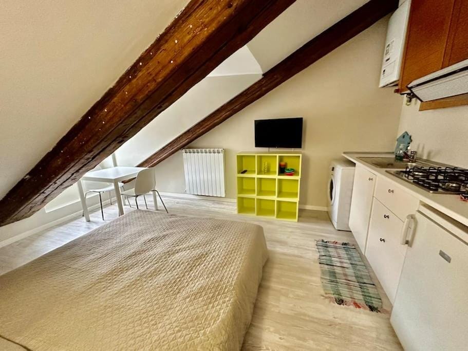 Piccolo loft sui tetti di Torino Apartment in Turin