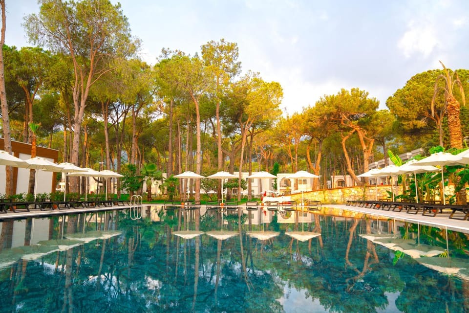 Spring, Day, Natural landscape, Garden, View (from property/room), Garden view, Pool view, Swimming pool, Swimming pool, Family, sunbed