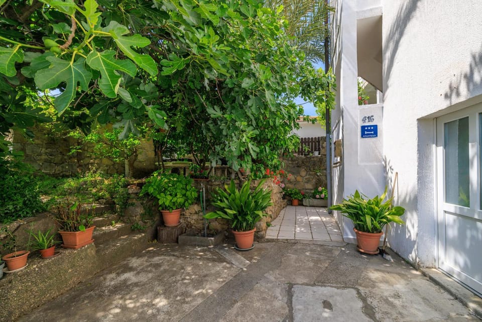 Patio, Facade/entrance