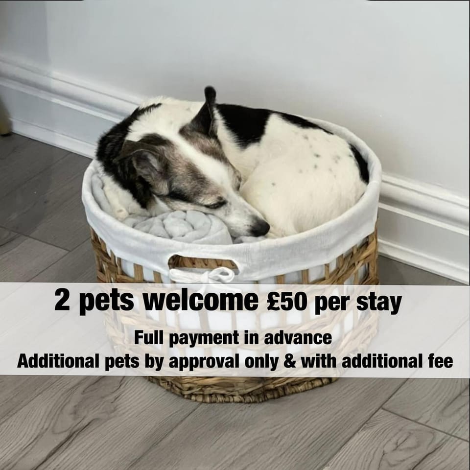 Pets, pet friendly