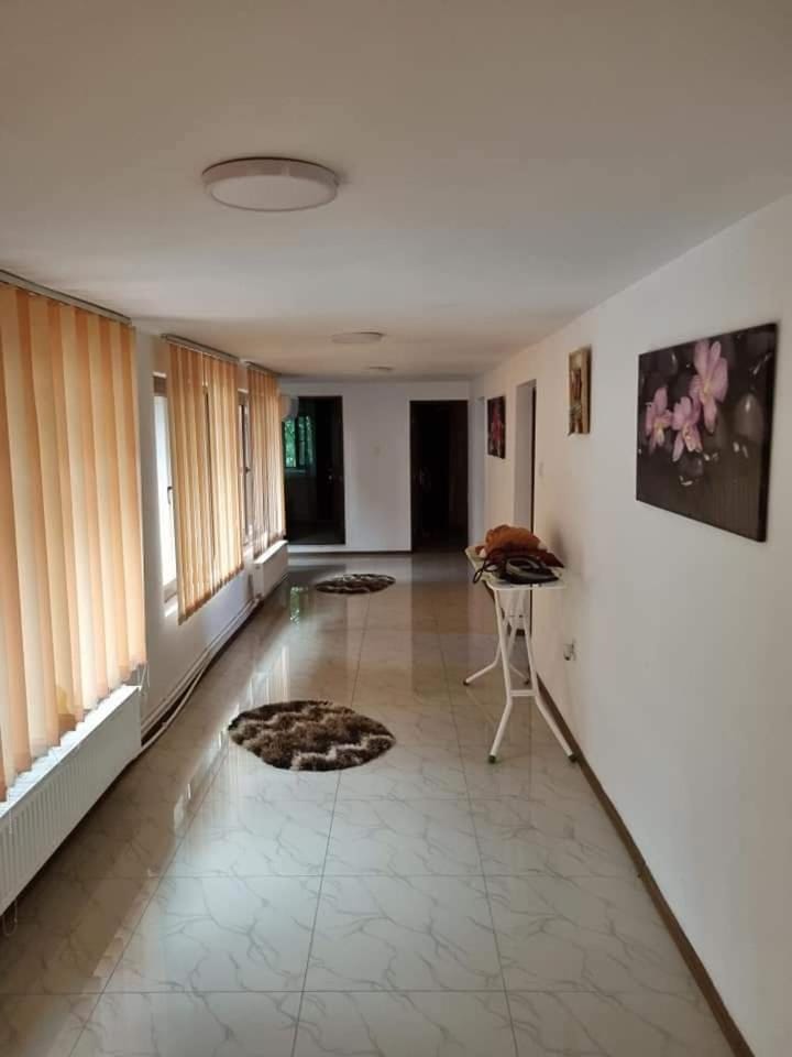 Vila Madalina Villa in Constanța County