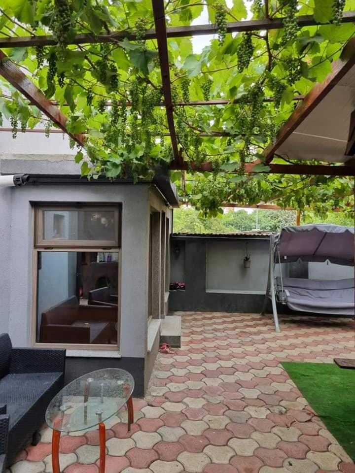 Vila Madalina Villa in Constanța County