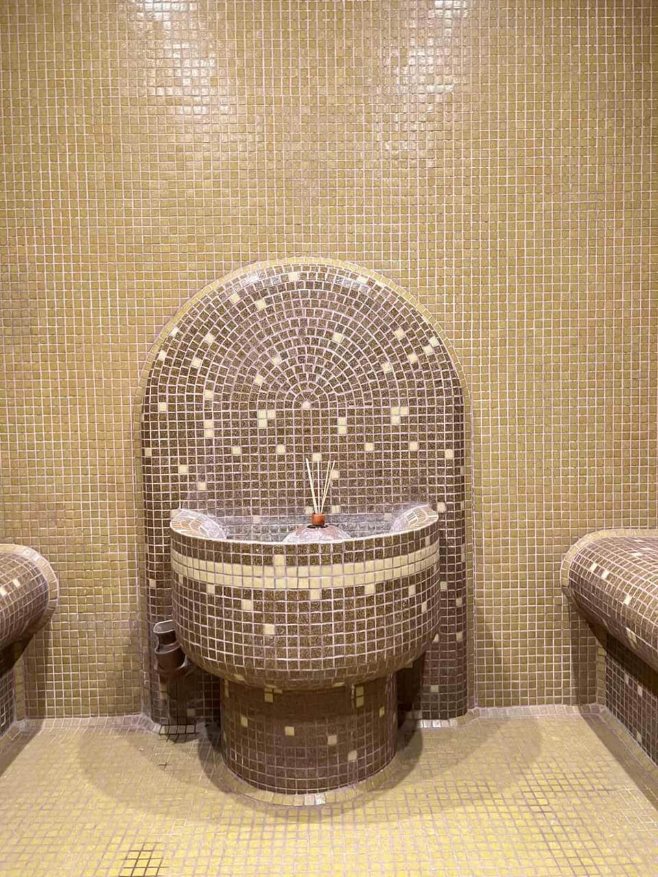 Hot Tub, Steam room, Spa and wellness centre/facilities