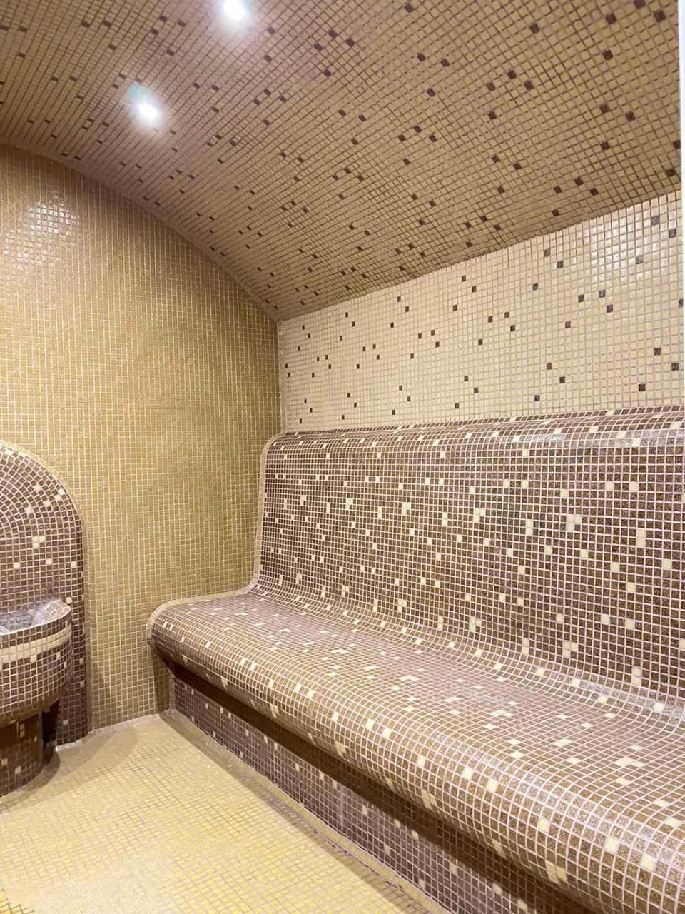 Hot Tub, Steam room, Spa and wellness centre/facilities