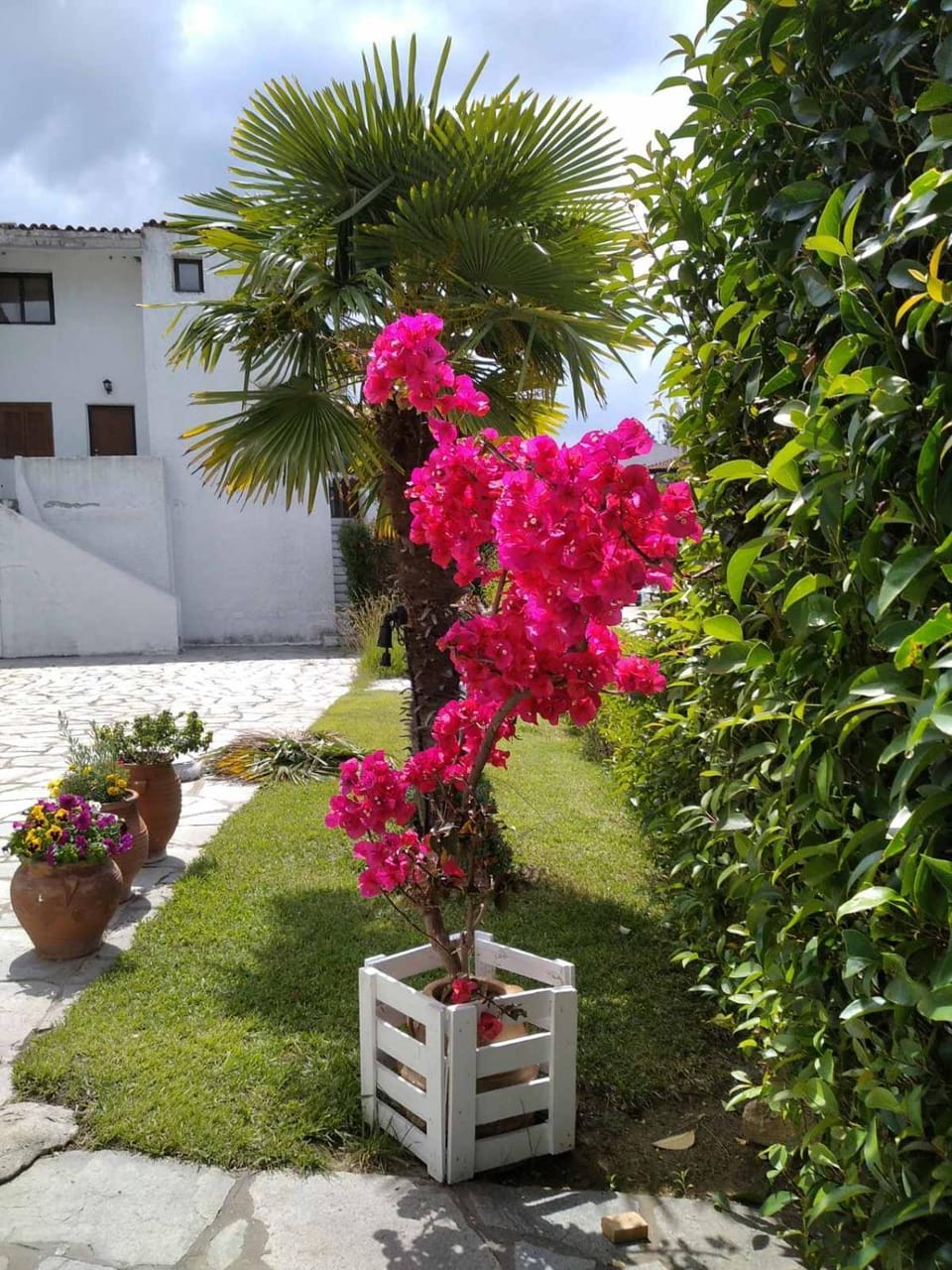 Elani house House in Halkidiki