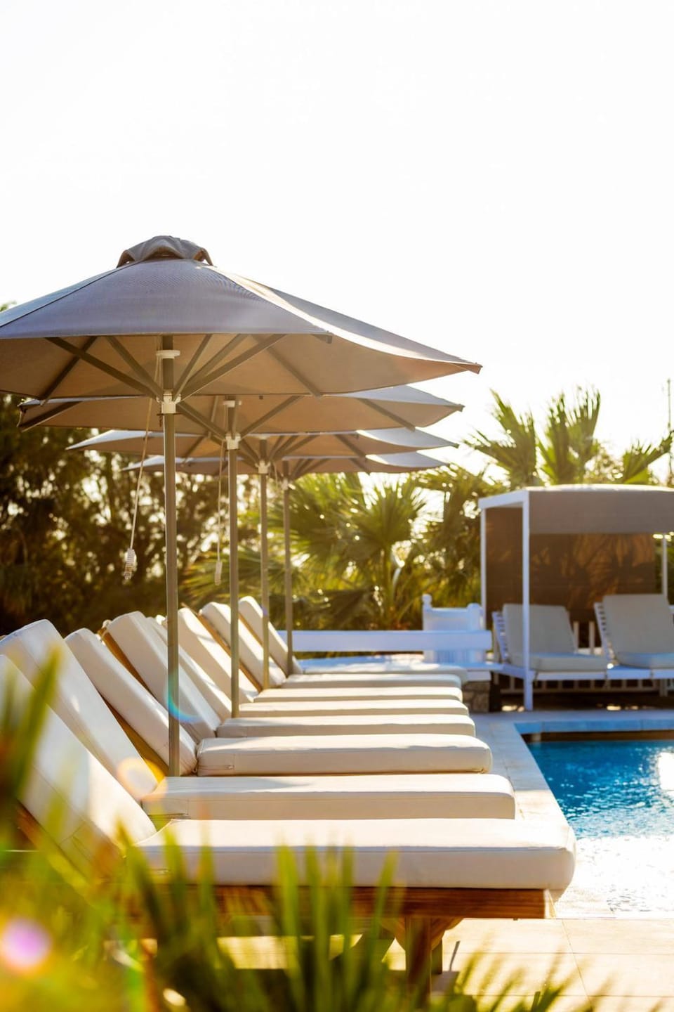 Swimming pool, Sunset, sunbed