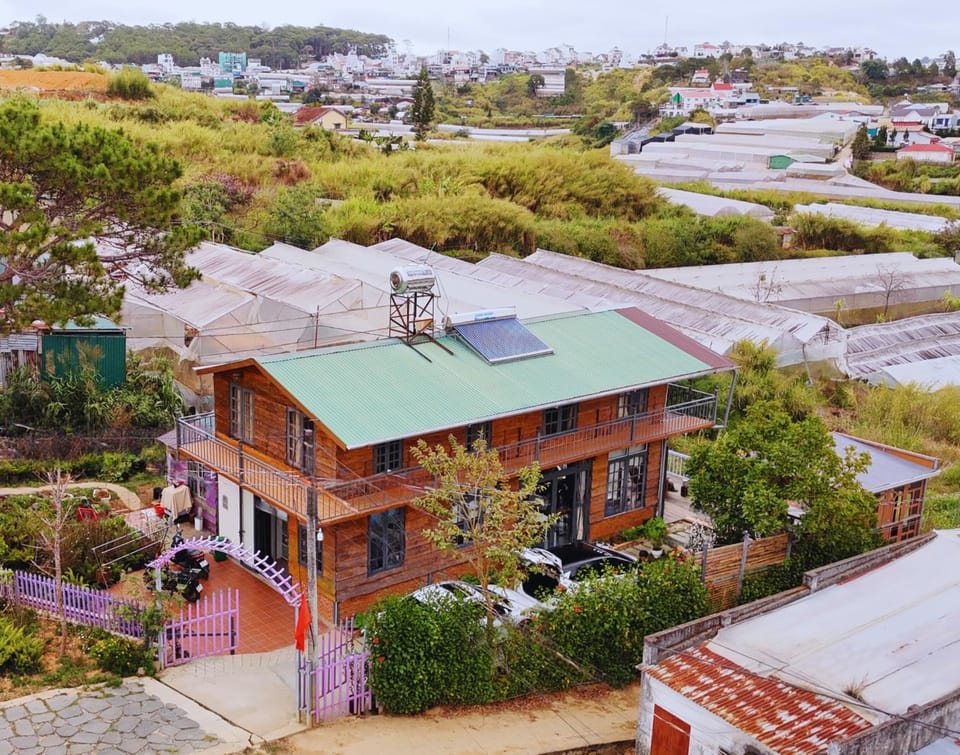Property building, Day, Bird's eye view