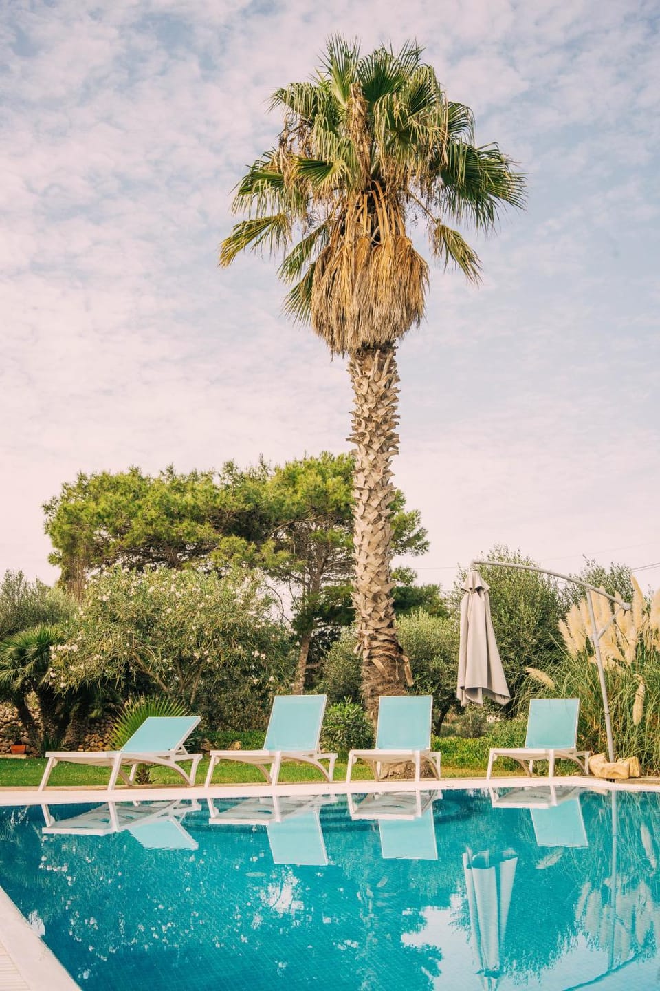 Garden, Garden view, Pool view, Swimming pool, sunbed