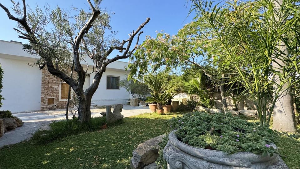 Property building, Garden, Garden view