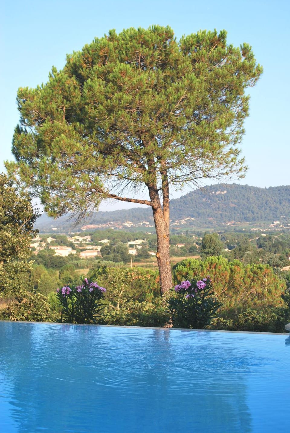 Le Mas de Héron Villa in Vidauban