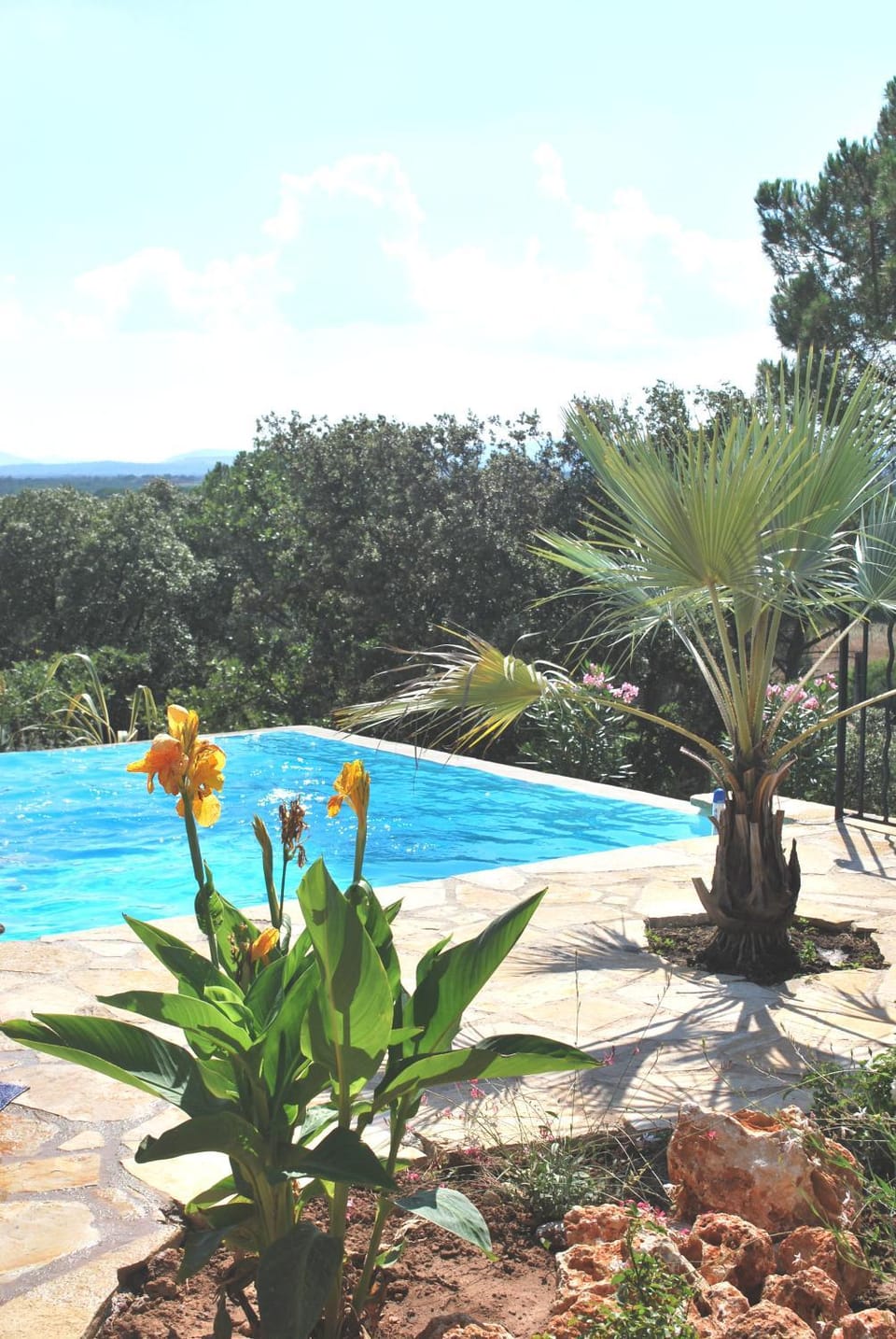 Le Mas de Héron Villa in Vidauban