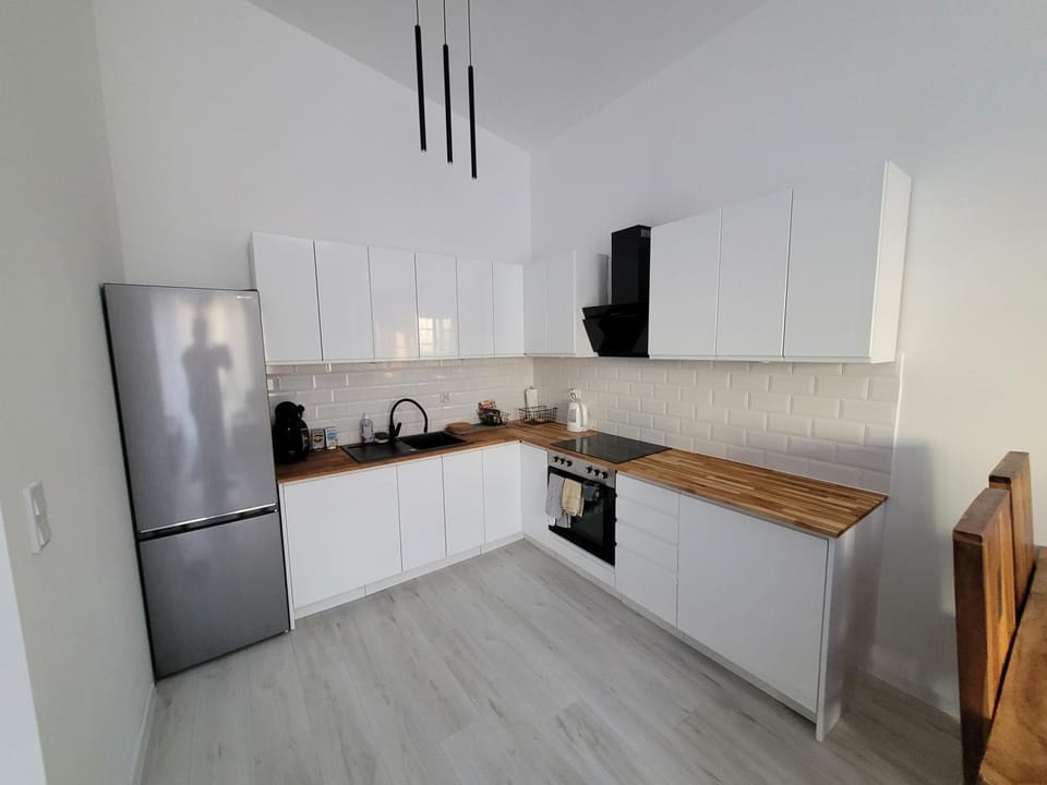 Apartament w Starym Mlynie Loft Różanka Apartment in Wroclaw