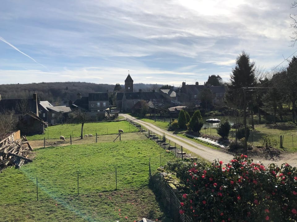 Bird's eye view, Garden