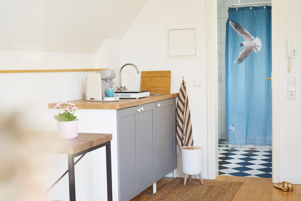 Kitchen or kitchenette, Photo of the whole room, Dining area