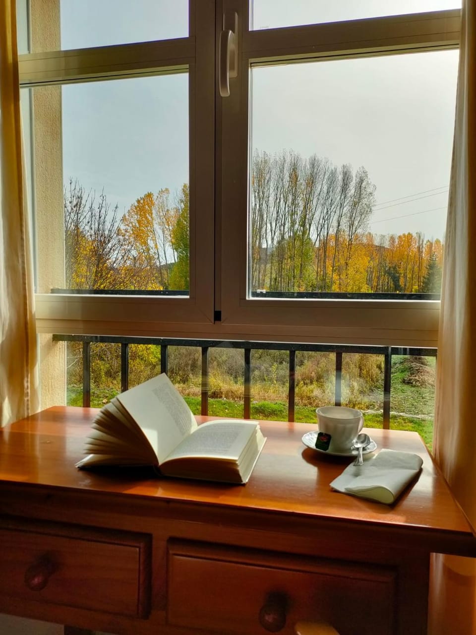 Garden view
