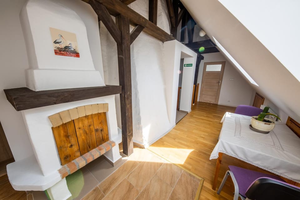 Żywkowo Bocianie Gospodarstwo Rolne Country House in Kaliningrad Oblast, Russia
