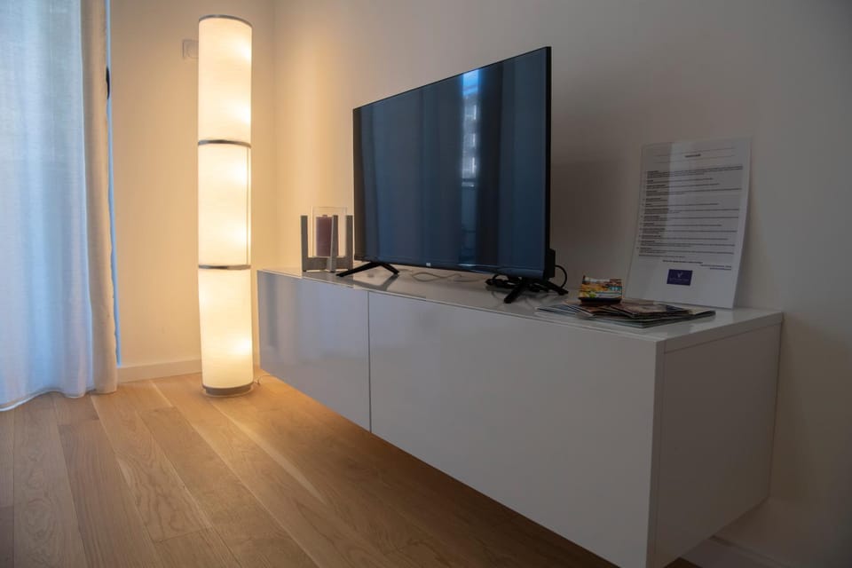 TV and multimedia