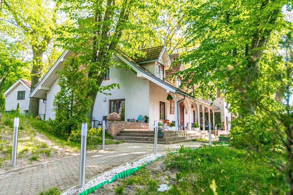 Property building, Garden, Garden view