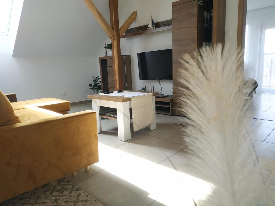 Communal lounge/ TV room, TV and multimedia, Living room
