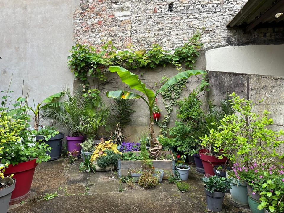 Garden, Garden view