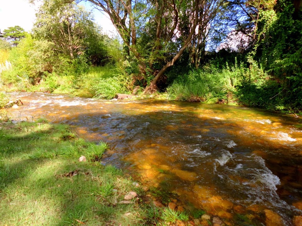 River view
