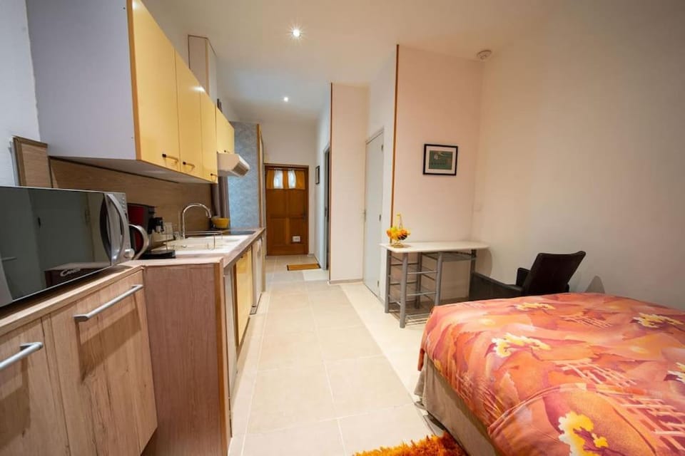 Bed, TV and multimedia, Photo of the whole room, stove