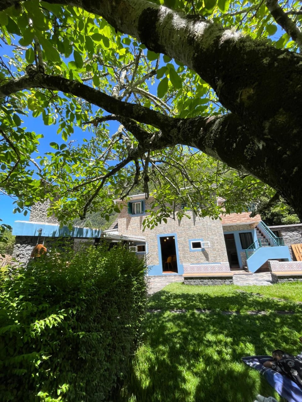 Garden view