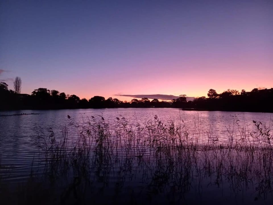 Lake view