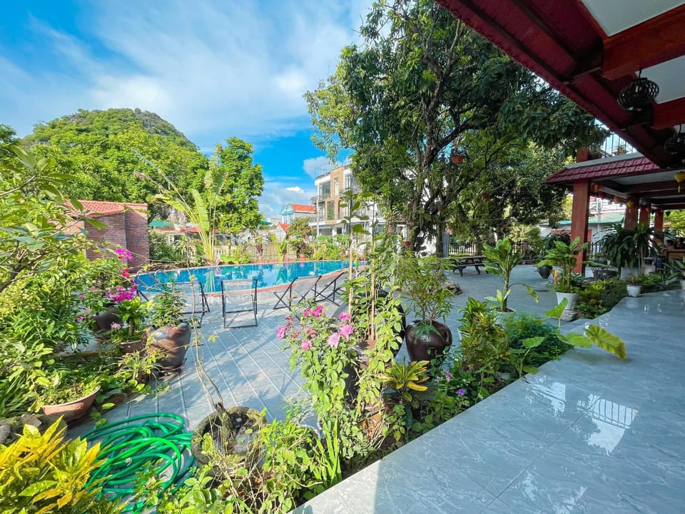 Pool view, sunbed